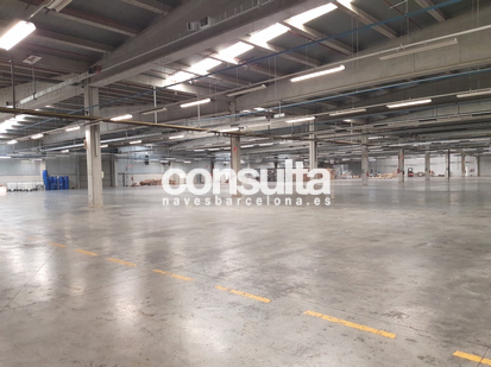 Nave industrial logística en alquiler en Celrà