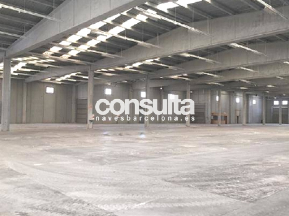 nave logistica alquiler sant feliu buixalleu 3