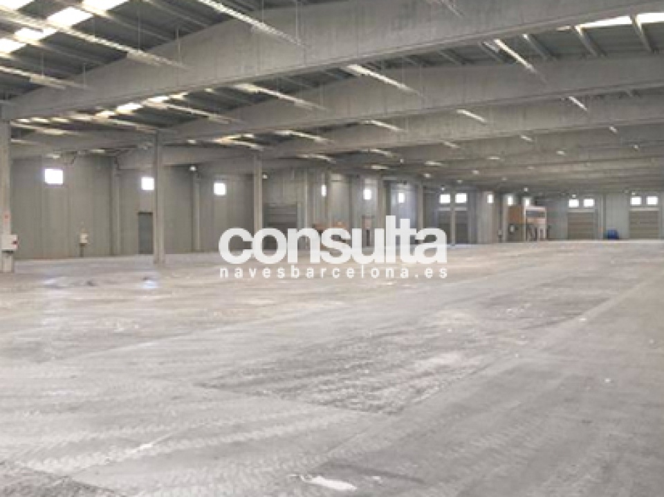 nave logistica alquiler sant feliu buixalleu 4