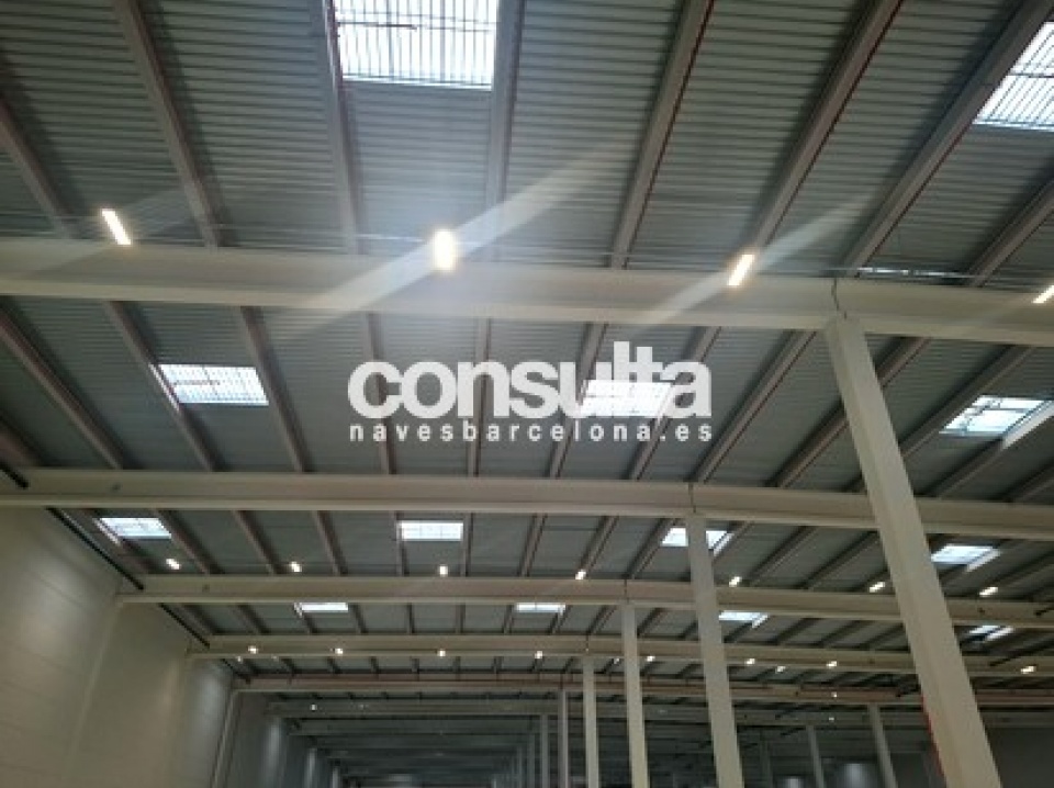 Nave logística en alquiler en La Bisbal del Penedès Nave logística en alquiler en La Bisbal del Penedès