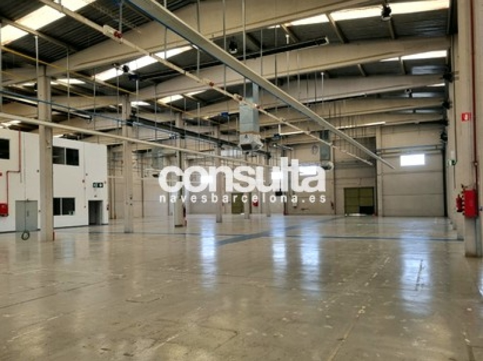 Nave industrial-logística en alquiler en Abrera Nave industrial-logística en alquiler en Abrera