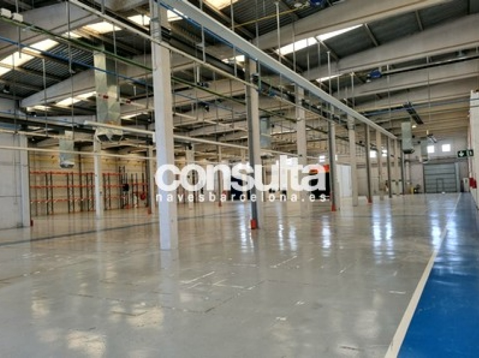 Nave industrial-logística en alquiler en Abrera Nave industrial-logística en alquiler en Abrera