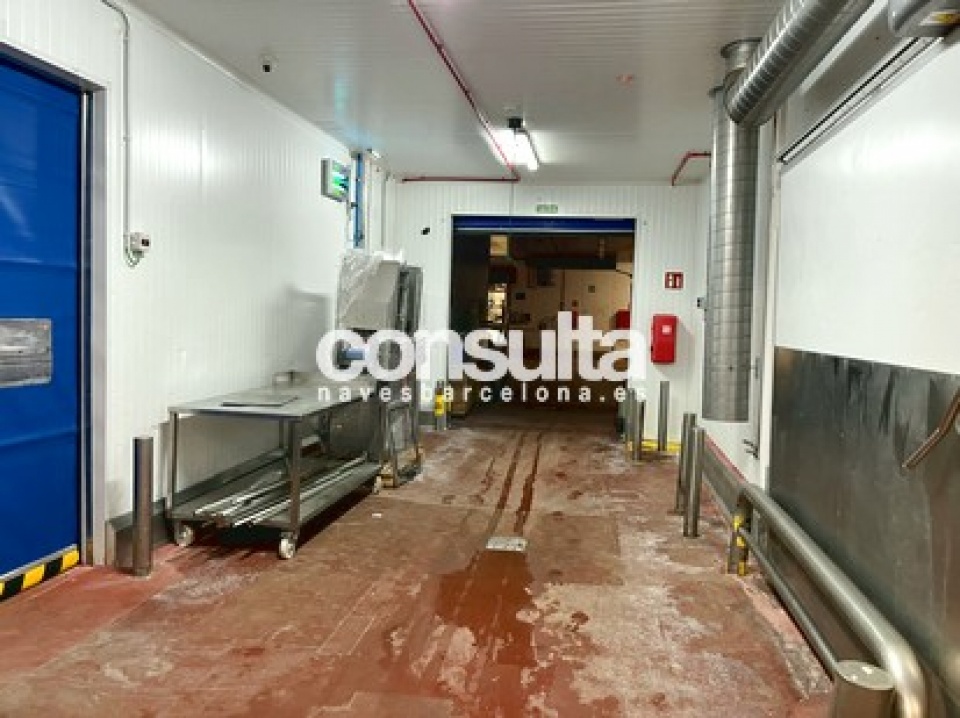 Nave logística en alquiler y venta en Arenys de Munt Nave logística en alquiler y venta en Arenys de Munt